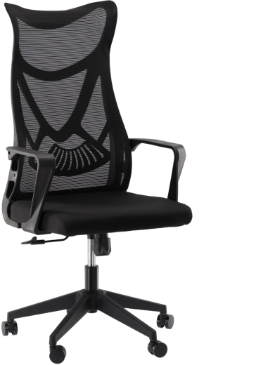 Scaun de birou Maskino