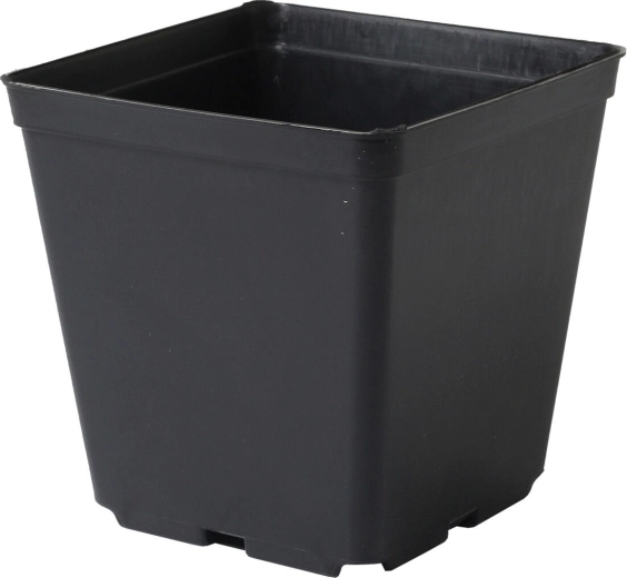Ghiveci pătrat ușor 9 × 9 × 10 cm, negru (10 buc)