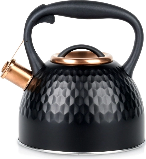 Ceainic din inox cu fluier Vilde negru 2,5 l