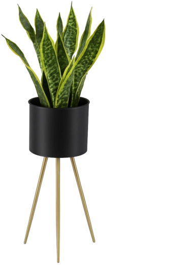 Suport metalic elegant pentru flori 60 cm, negru cu picioare aurii