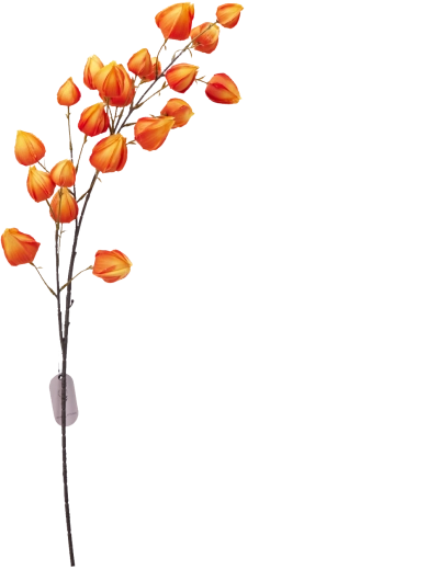 Ramură decorativă sintetică crem 97 cm