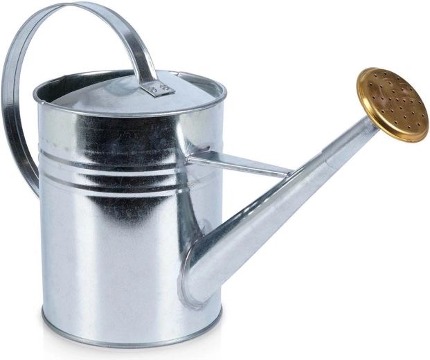 Stropitoare metalică pentru udat 1,9 l