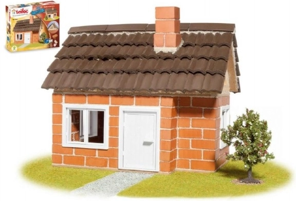 Constructor Casă Teifoc Carlos