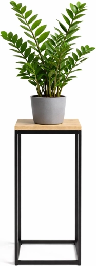 Suport pentru ghiveci RENEW FORCE fos-tall 63 cm, 24 × 24 cm