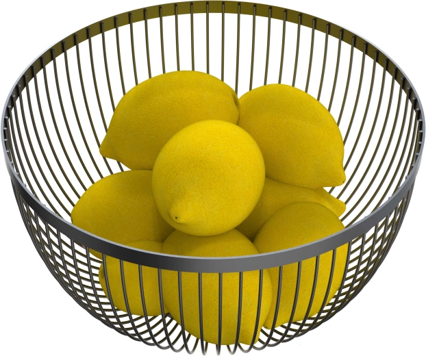 Bol pentru fructe din sârmă, negru, 24,6 × 14,6 cm