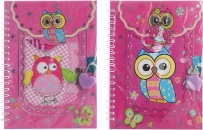 Jurnal cu lacăt bufnițe