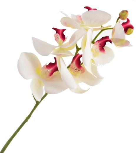 Orhidee artificială albă 72 cm