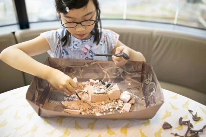 Set de excavare Brachiosaurus – schelet de dinozaur pentru copii