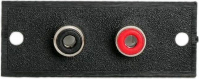 Terminal RCA încastrabil cu 2 prize