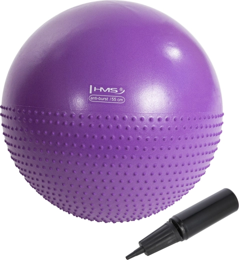 Minge gimnastică de masaj HMS YB03N 55 cm, mov