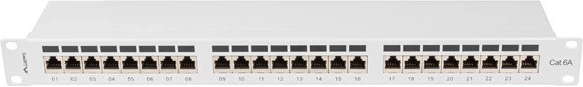 Patch panel 24 porturi Cat 6A 1U gri