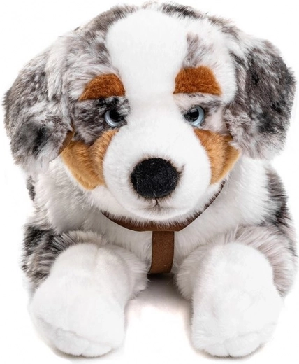 Ham pentru și mai multă distracție