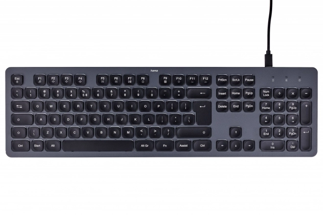 Tastatură Hama cu fir negru-gri