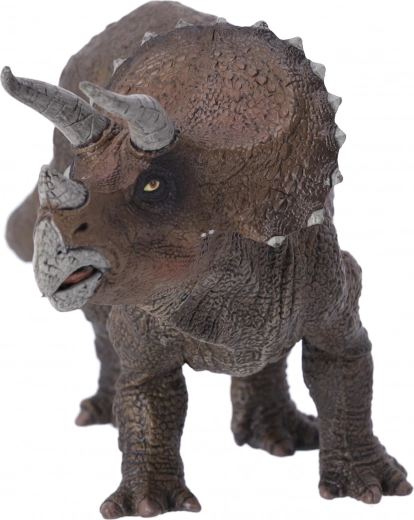 Perfectă pentru toate categoriile de vârstă