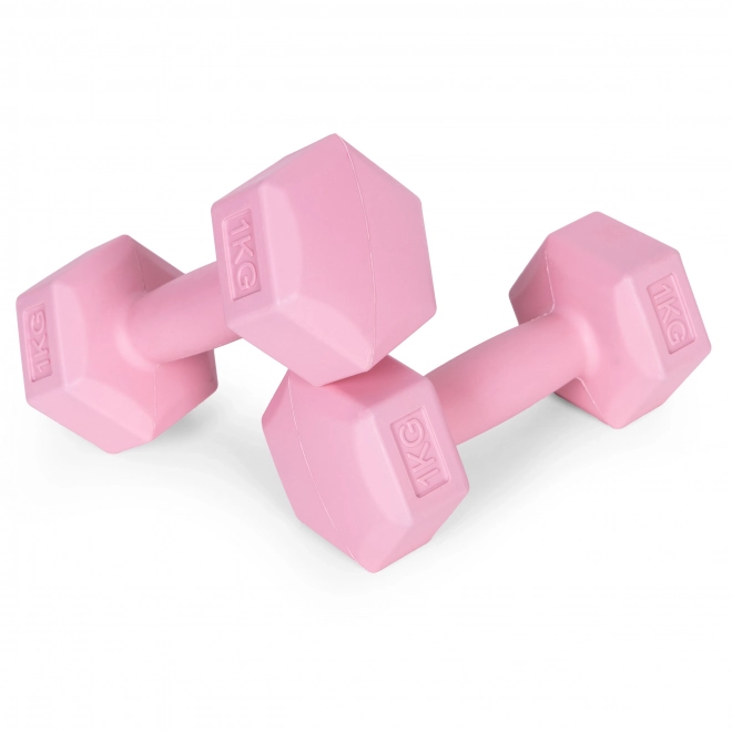Gantere roz 2x1 kg ModernHome