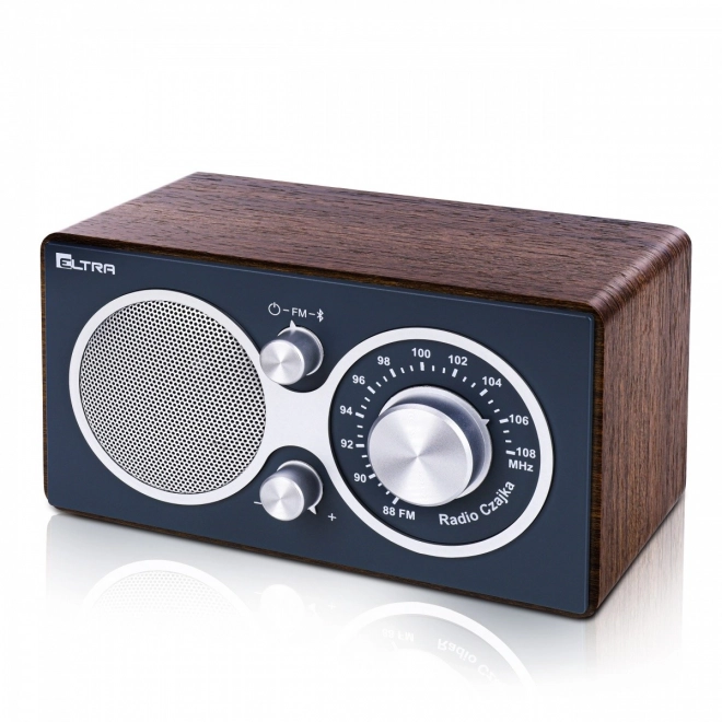 Radio Bluetooth cu carcasă din lemn