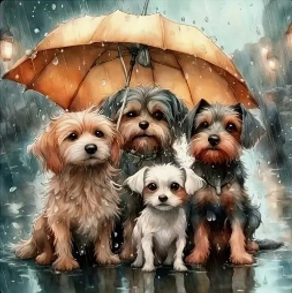 Mozaic diamantat - Familie de câini sub umbrelă