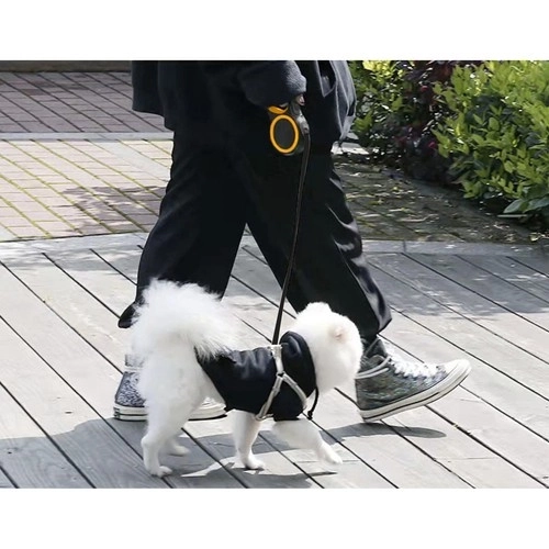 Spre retrctabilă pentru câini 8m/50kg Purlov