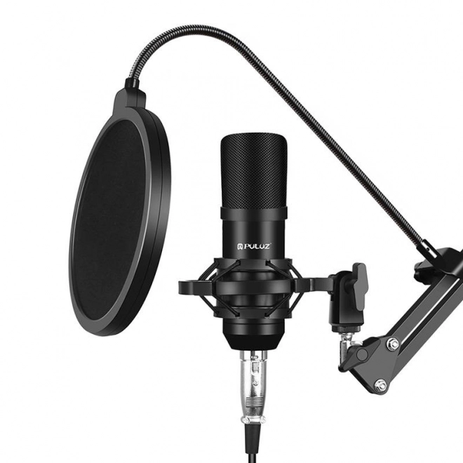 Microfon studio Puluz