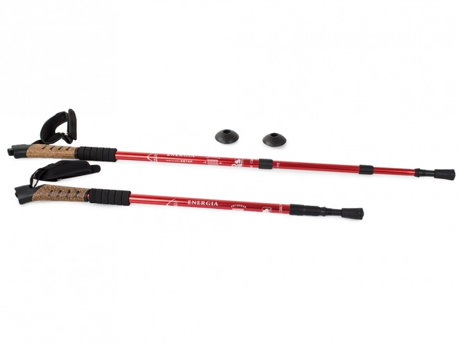 Baston Nordic Walking cu mâner din plută
