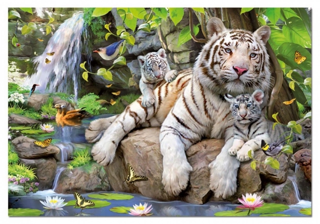 Puzzle 1000 de piese tigri bengalezi
