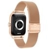 Garrett GRC Activitate 2 auriu mat