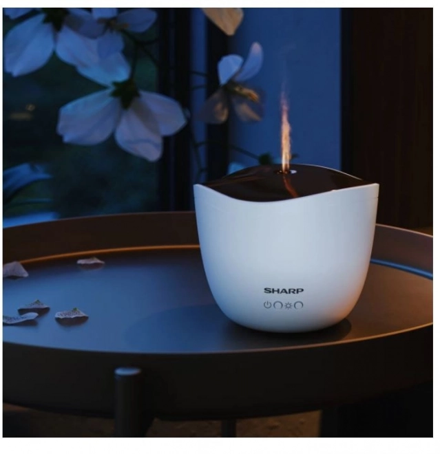 Aromatizator ultrasonic cu capac rozé auriu