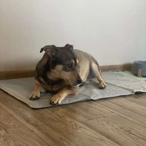 Saltea de răcire pentru animale de companie Purlov XL
