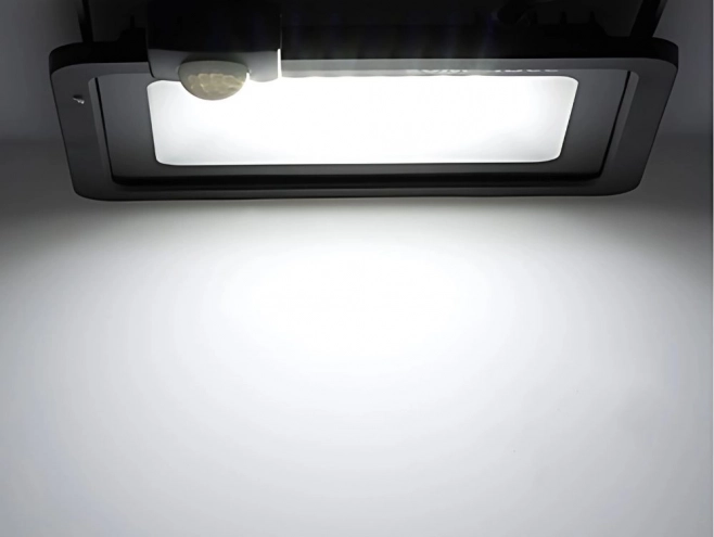 Reflector LED de exterior 100W 6000K IP66