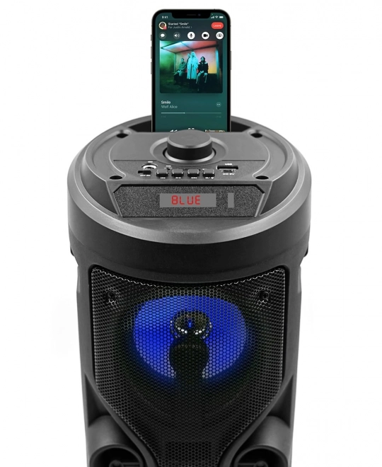 Conectivitate Bluetooth wireless