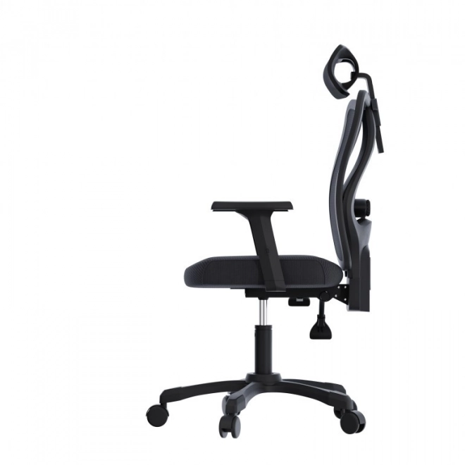 Scaun ergonomic de birou Onyx