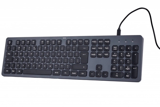 Tastatură Hama cu fir negru-gri