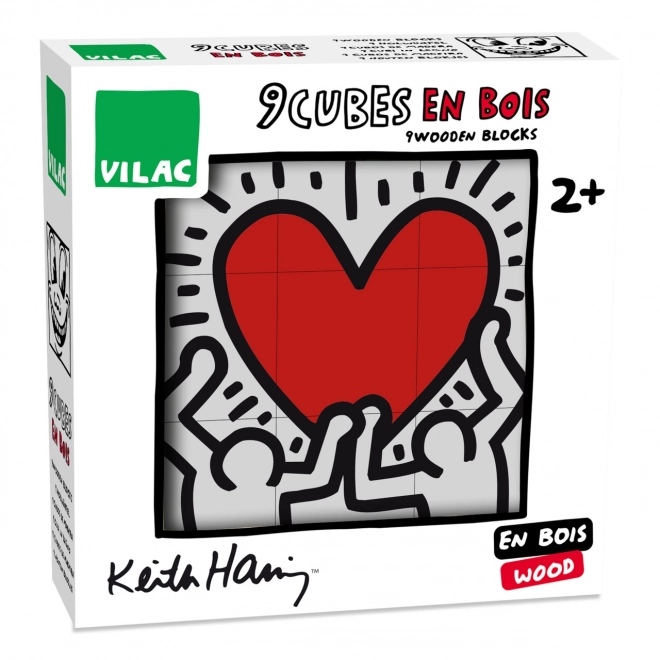 Set cuburi ilustrate Keith Haring