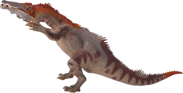 Potrivită pentru colecționari