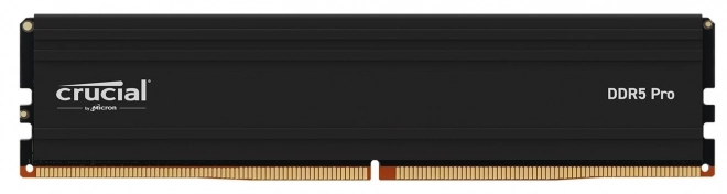 Memorie Crucial DDR5 Pro 24GB