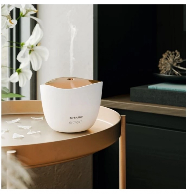 Aromatizator ultrasonic cu capac rozé auriu