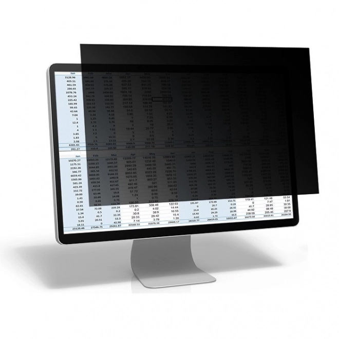 Filtru de confidențialitate 24 inch negru