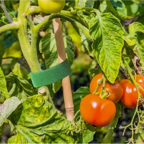 Bandă textilă verde Gardlov cu cârlig și buclă 5m