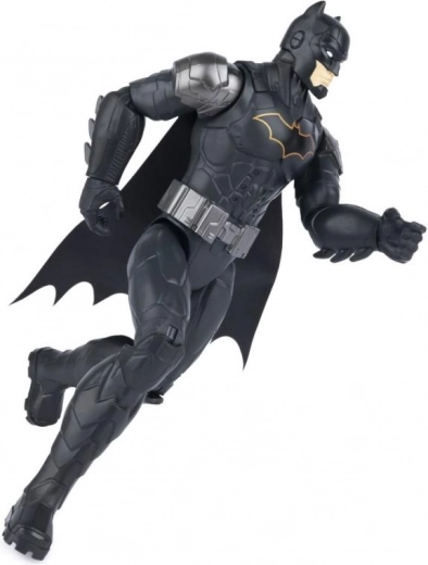 Realizare detaliată în stil de benzi desenate