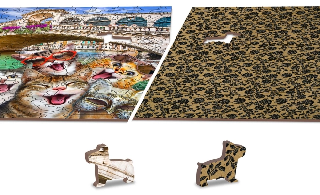 Puzzle Reversibil 2în1