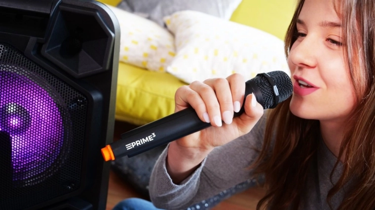 Distracție karaoke cu microfon wireless
