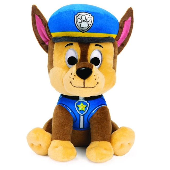 Uniformă de poliție detaliată
