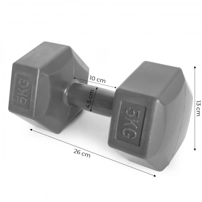 Set de gantere hexagonale 2x5 kg gri ModernHome