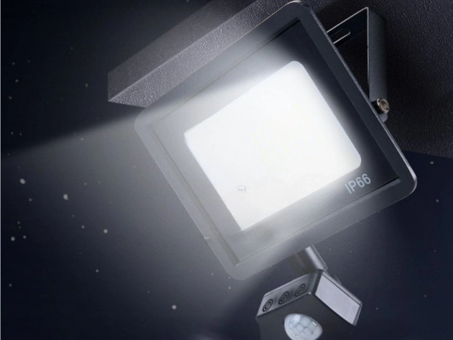 Reflector LED Exterior 30W cu Senzor de Mișcare și Amurg IP66