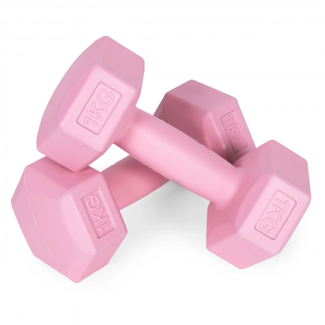 Gantere roz 2x1 kg ModernHome