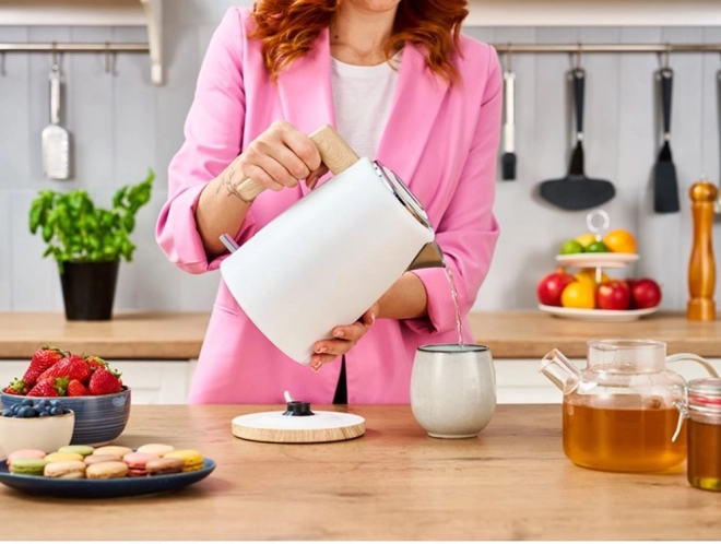 Cazan electric Lafe Scandi