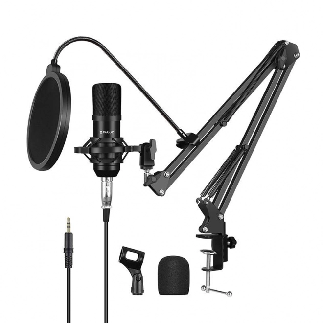 Microfon studio Puluz