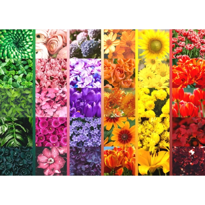 Paletă florală vibrantă în grilaj