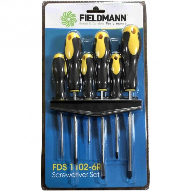 Set surubelnițe Philips și plate, 6 bucăți