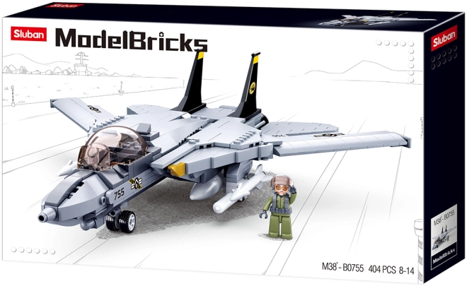 Design realist al legendei F-14 TOMCAT